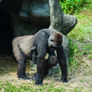 Rwanda